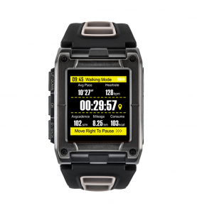Watchmark - Extremum Triathlon WS929 Grigio